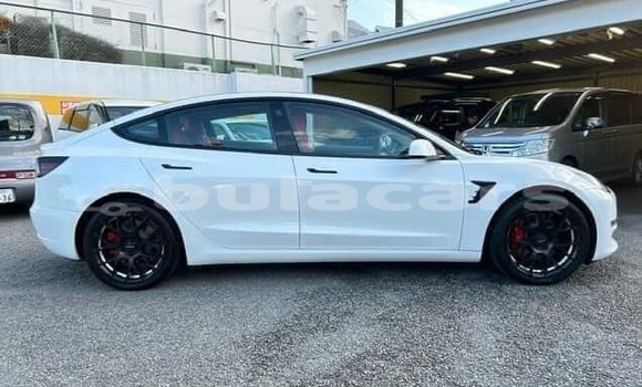 Buy Used Tesla Model 3 White Car in Suva in Central Buy Used Tesla Model 3 White Car in Suva in Central