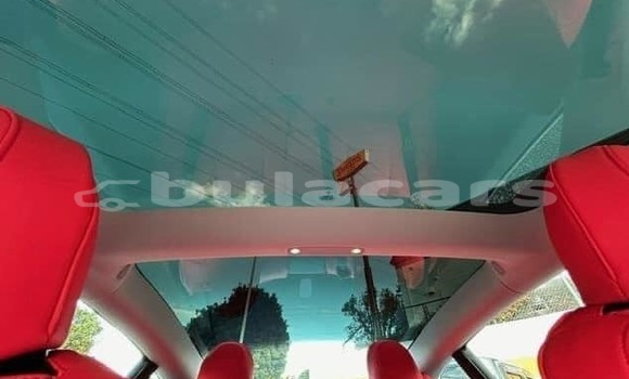 Buy Used Tesla Model 3 White Car in Suva in Central Buy Used Tesla Model 3 White Car in Suva in Central