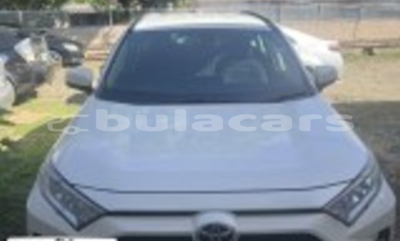 Buy Used Toyota RAV4 White Car in Lautoka in Western