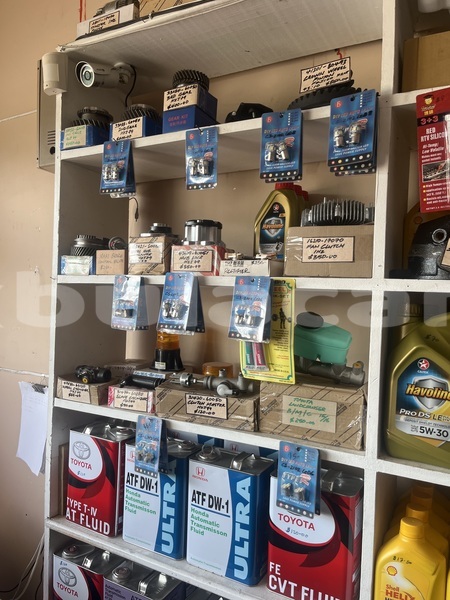 Big with watermark image