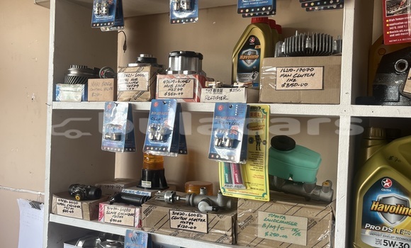 Medium with watermark image