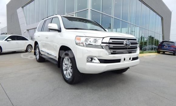 Buy Used Toyota Land Cruiser White Car in Komave in Western