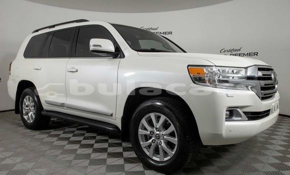 Buy Used Toyota Land Cruiser White Car in Labasa in Northern Buy Used Toyota Land Cruiser White Car in Labasa in Northern