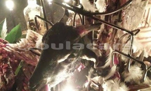 Medium with watermark 1000054032