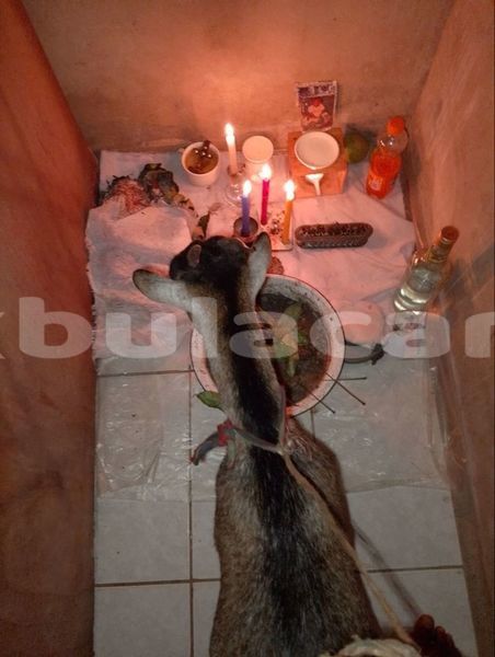 Big with watermark 1000054033