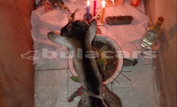 Medium with watermark 1000054033