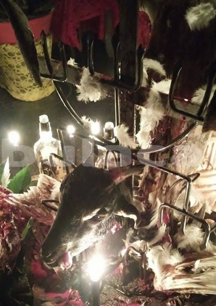 Big with watermark 1000055940