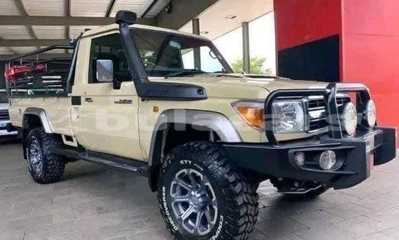 Buy Used Toyota Land Cruiser Beige Car in Lautoka in Western