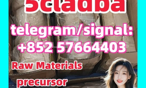 Buy 5cladba precursor DMF in Korovou in Central Buy 5cladba precursor DMF in Korovou in Central