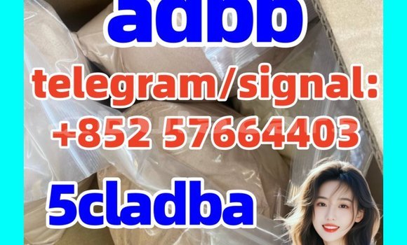 Buy 5cladba Cannabinoids in Komave in Western Buy 5cladba Cannabinoids in Komave in Western