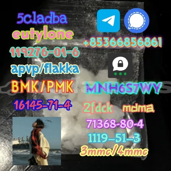 Big with watermark 1 81 