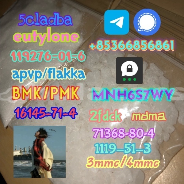 Big with watermark 1 101 