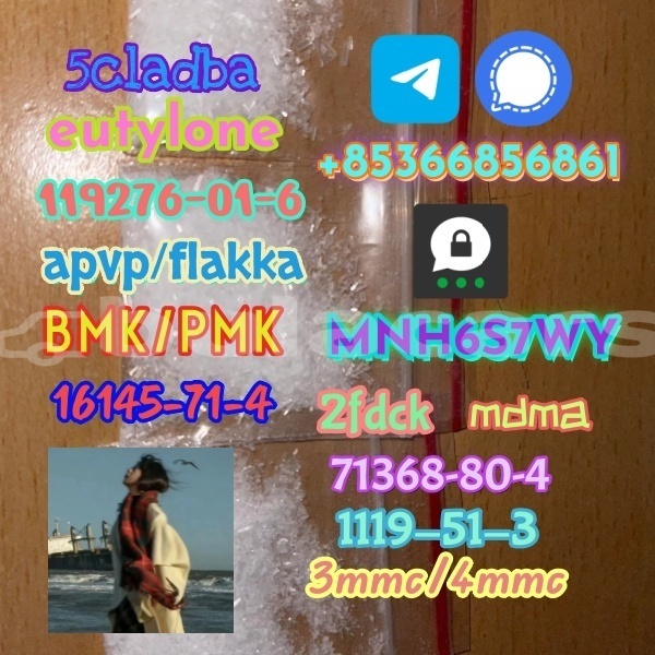 Big with watermark 1 103 