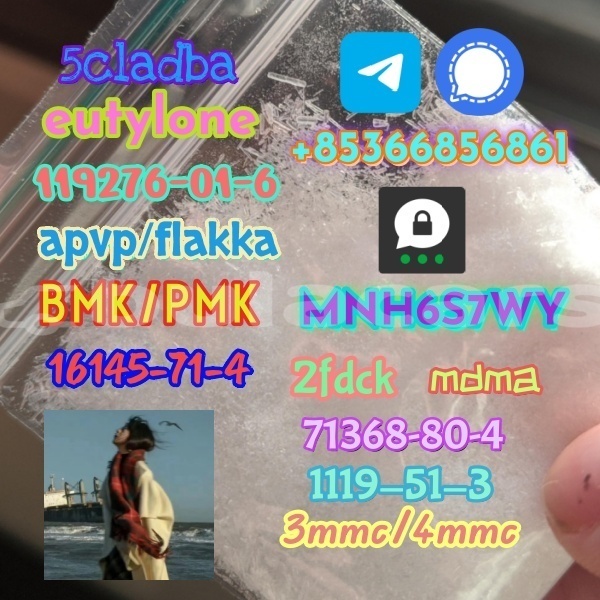 Big with watermark 1 116 