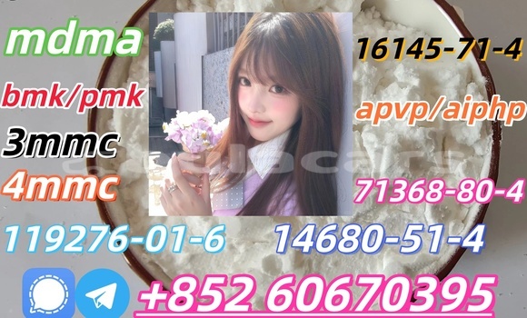 Medium with watermark 1