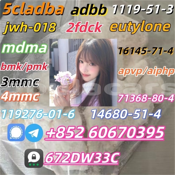 Big with watermark cas 14530 33 7 3