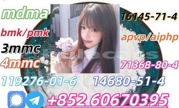 Buy CAS 119276-01-6 in Labasa in Northern Buy CAS 119276-01-6 in Labasa in Northern