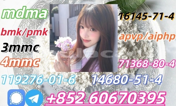 Buy CAS 119276-01-6 in Labasa in Northern Buy CAS 119276-01-6 in Labasa in Northern