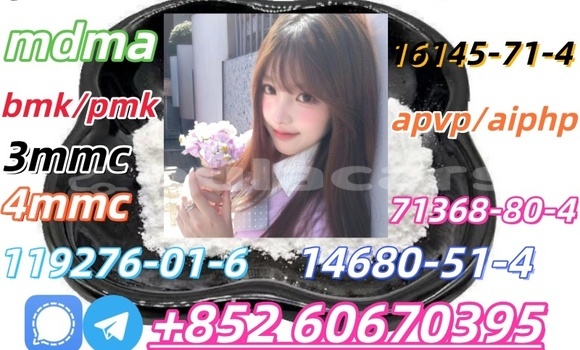 Buy supply Bmk and Pmk in Labasa in Northern Buy supply Bmk and Pmk in Labasa in Northern