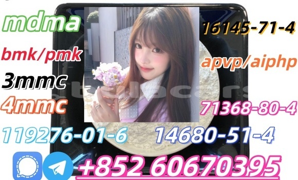 Buy supply Bmk and Pmk in Labasa in Northern Buy supply Bmk and Pmk in Labasa in Northern