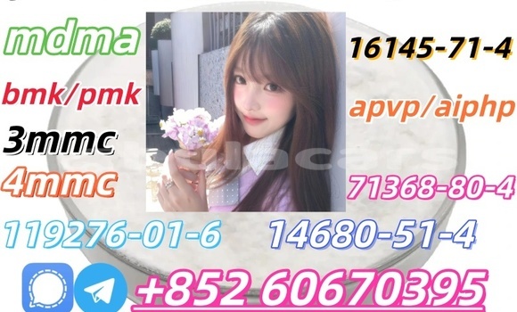 Medium with watermark 15