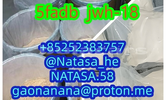 Medium with watermark 1