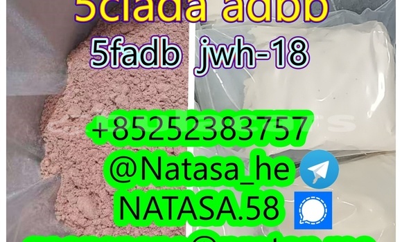 Medium with watermark 2