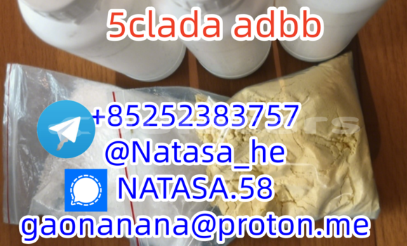 Medium with watermark 3