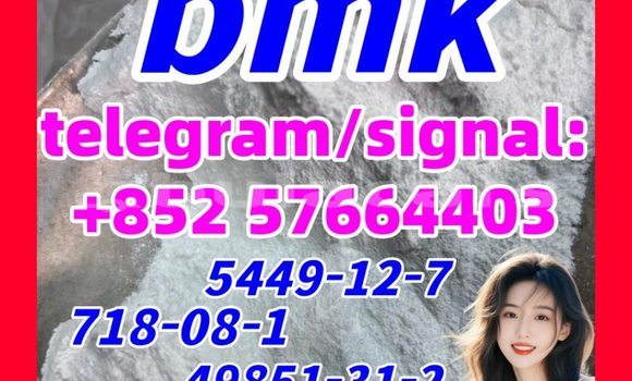 BMK 5449-12-7 Powder 