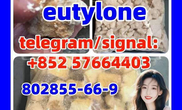 eutylone 802855-66-9