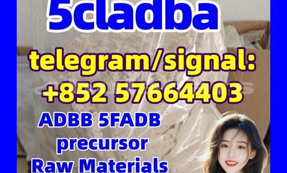 Medium with watermark 5cc4