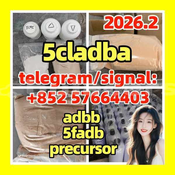 Big with watermark 514