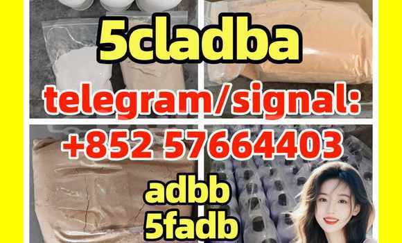 Medium with watermark 514