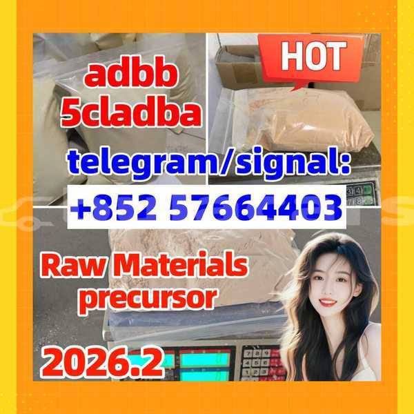 Big with watermark 554