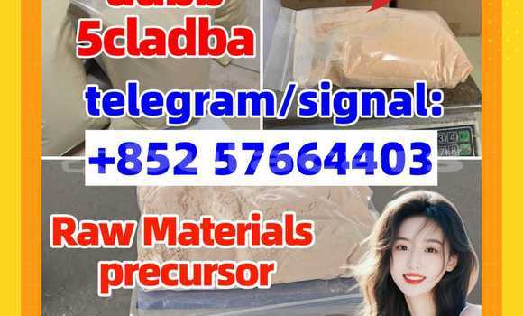 Medium with watermark 554