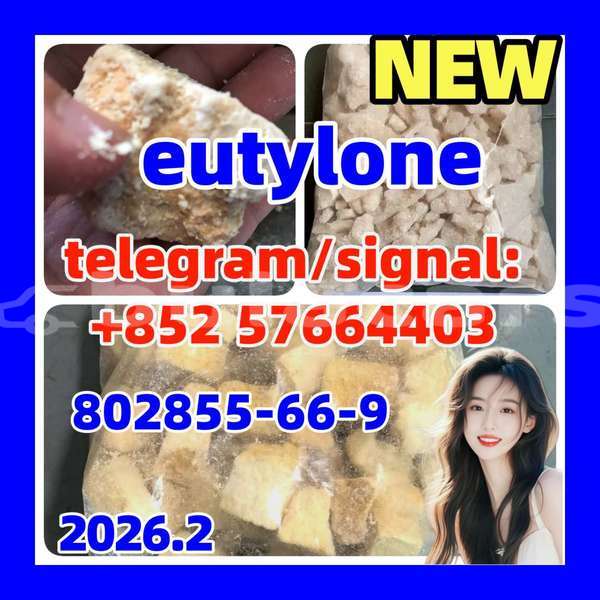 Big with watermark e4