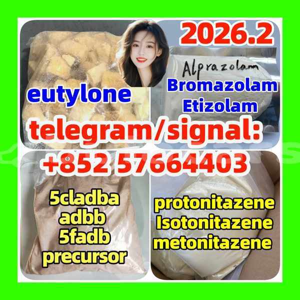 Big with watermark z4