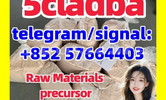 Medium with watermark 5c2