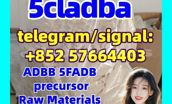 Medium with watermark 5cc2