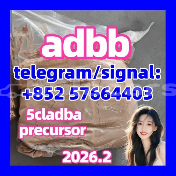 Big with watermark 5cl2