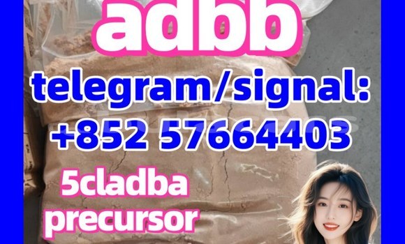 Medium with watermark 5cl2