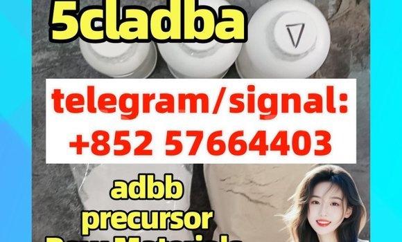 Medium with watermark 52