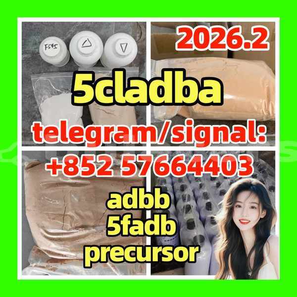 Big with watermark 512