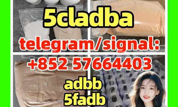 Medium with watermark 512