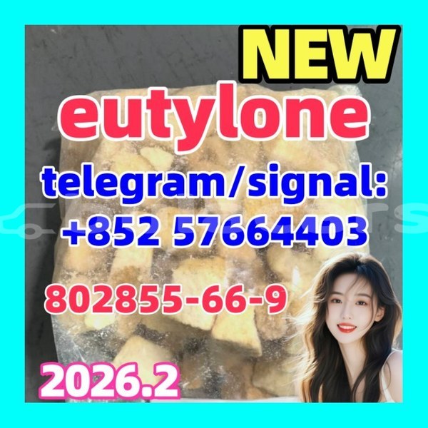 Big with watermark eu2