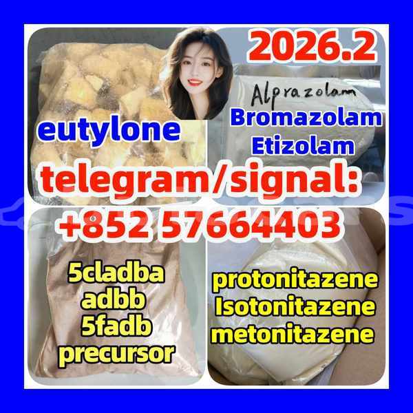 Big with watermark z2