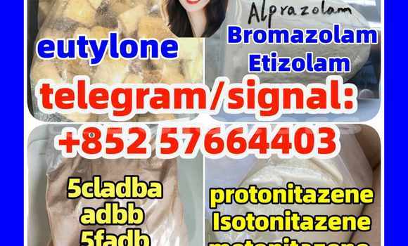 Medium with watermark z2