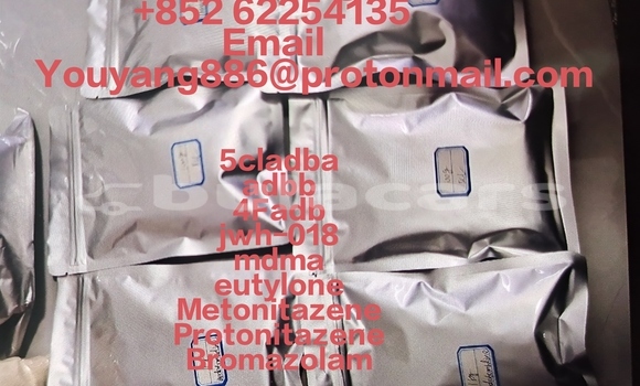 Buy Isotonitazene2732926-24-6 in Korokade in Northern Buy Isotonitazene2732926-24-6 in Korokade in Northern