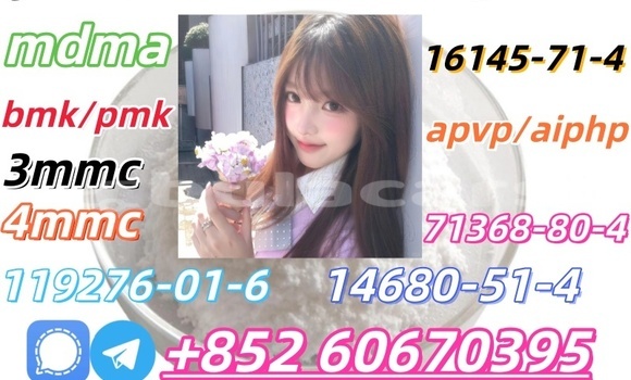 Medium with watermark 20