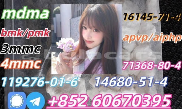 Medium with watermark 1 23022521343a09